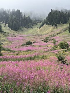 Fotografie z Stefan Vanhaecke na trase