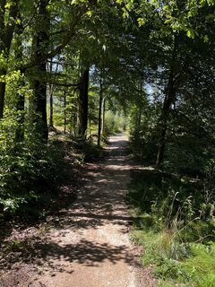 Foto de Tino Falk a lo largo del recorrido