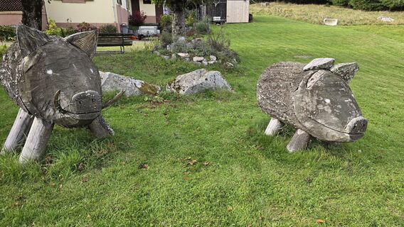 Fotografie z Katja Senkel na trase