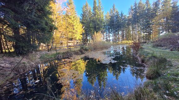 Foto de Regina Fleischmann a lo largo del recorrido