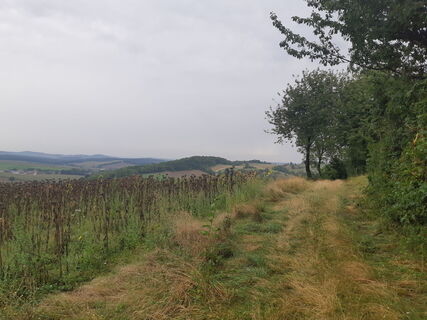 Zdjęcie z mmecki wzdłuż trasy