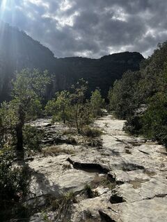 Fotografija s spletne strani Lea Bouvas na poti