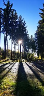 Fotografia z Klaus Lehner na trase