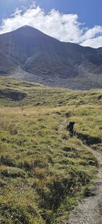 Photo de Denny Griep le long du parcours