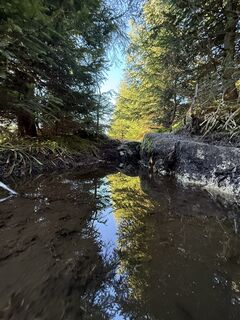 Fotografia z Natur_erleben_dg na trase