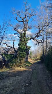 Foto von Manfred Kögler entlang der Tour