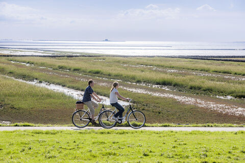 Radler_Deich_Wattenmeer_Ockholm_NF2716 (1)