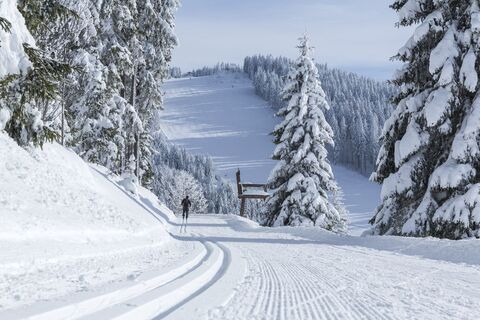 Winterwanderweg und Loipe