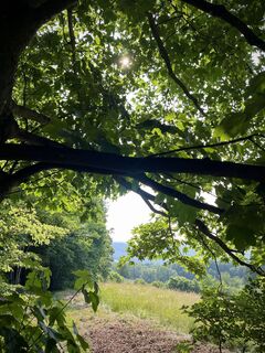 Fotó a Pfalzi honlapról a túra során
