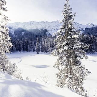Schwarzwassertal im Winter
