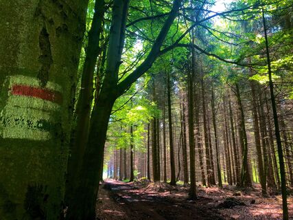 Firstenweg zwischen Schlettau und Cranzahl bei Buchholz