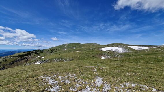 Photo de EP87 le long du parcours