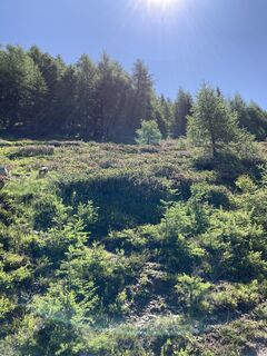 Foto von Albert Purtscher entlang der Tour