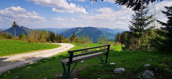 Zdjęcie z Klaus Lehner wzdłuż trasy