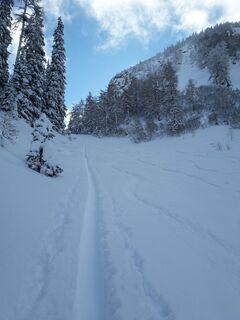 blick-hinauf-durch-den-sautrog-i-richtung-sueden-