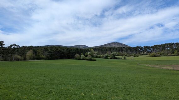 Foto de Edero a lo largo del recorrido