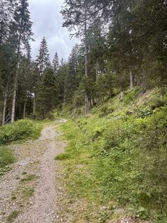 Foto von Benediktus_prim entlang der Tour