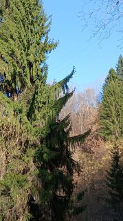 Foto von Josef Sepp Nagiller entlang der Tour