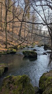 Zdjęcie z hochlandfamilie wzdłuż trasy