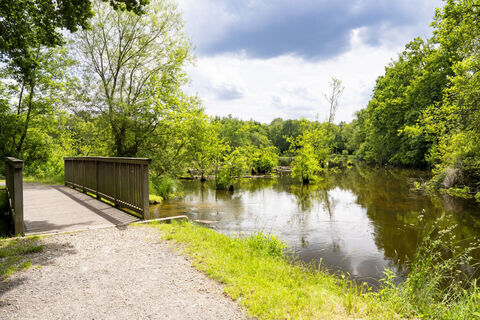 Burgis verwunschener Wald