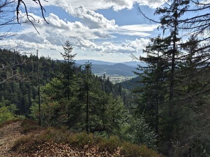 Foto von Wollomator entlang der Tour