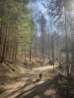 Photo de Laurarom3558 le long du parcours