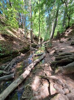 Foto von Hermann E. entlang der Tour