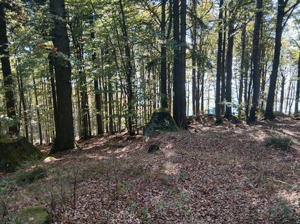 Photo de Florian Mandl 2 le long du parcours