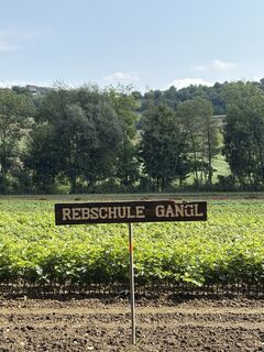 Photo de Helmut Schuchter le long du parcours