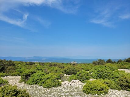 Fotografia z Juliane Jarke na trase