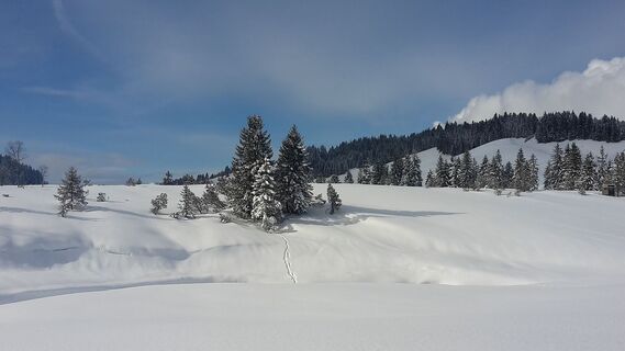 Winterlandschaft am Hochhäderich