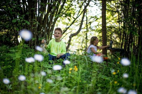 Im Wald beim Frauenhainweg