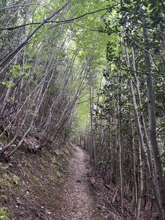 Foto fra Marcel G. underveis på turen