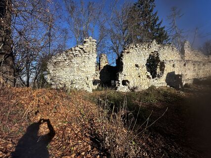 Photo from Wolfgang Gschmeidler along the tour