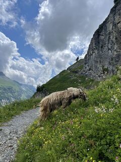 Foto fra Martin Reinhard undervejs på turen