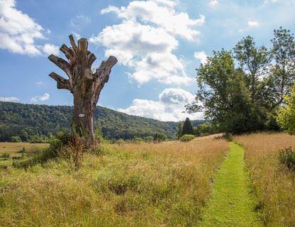 Kirchenköpfle-Tour - Weg zum Kaspars Kreuz
