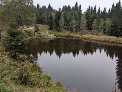 Foto von Claudia Thime entlang der Tour