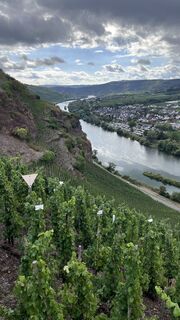 Foto von Sandra Visser-Nijland entlang der Tour