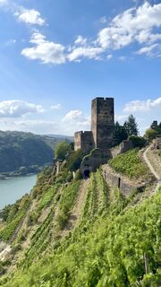 Foto von MM entlang der Tour