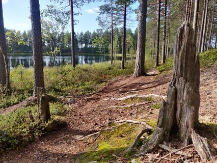 Vor allem am Anfang des Flechtenwegs in Huutoniemi gibt es schöne Ausblicke auf den See.