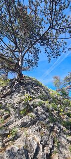 Foto de Alexandra Stani a lo largo del recorrido