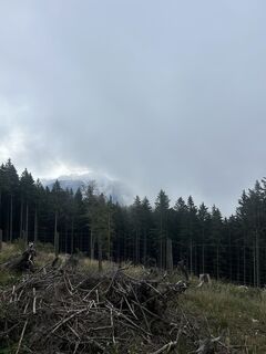 Foto von Igor Pravst entlang der Tour