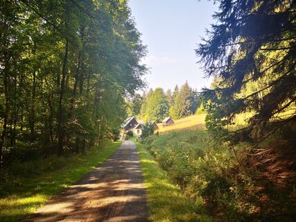 Foto von Denis Trapp 1 entlang der Tour