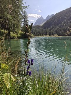 Foto von sandra schrunner entlang der Tour