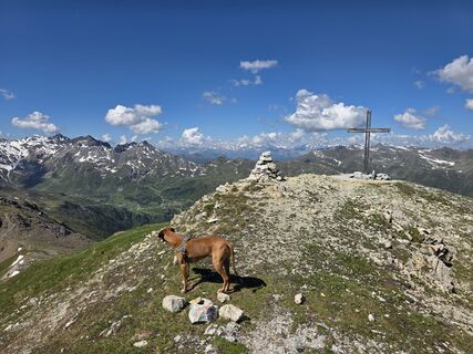 Photo de Schneekar le long du parcours