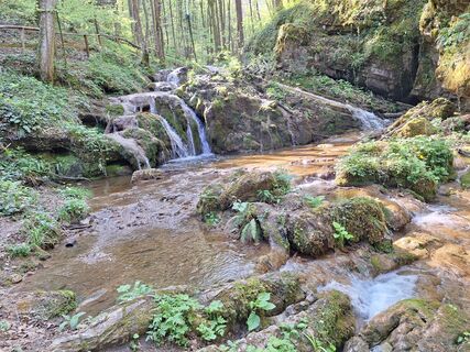 Photo de Irena Mlakar le long du parcours