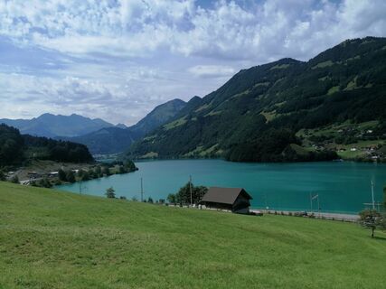 Fotografia z luyyy na trase