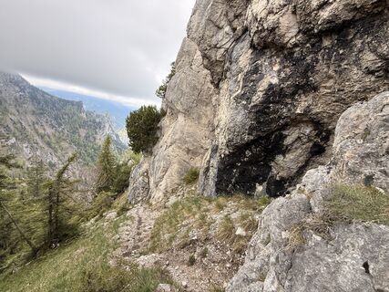 Foto von Natur_erleben_dg entlang der Tour