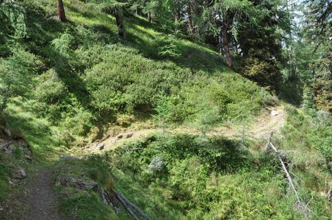 wandern-baerensteig-c-regina-koell (2).jpg