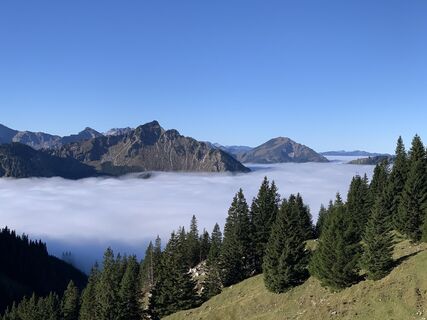 Photo de DirK FraNz le long du parcours
